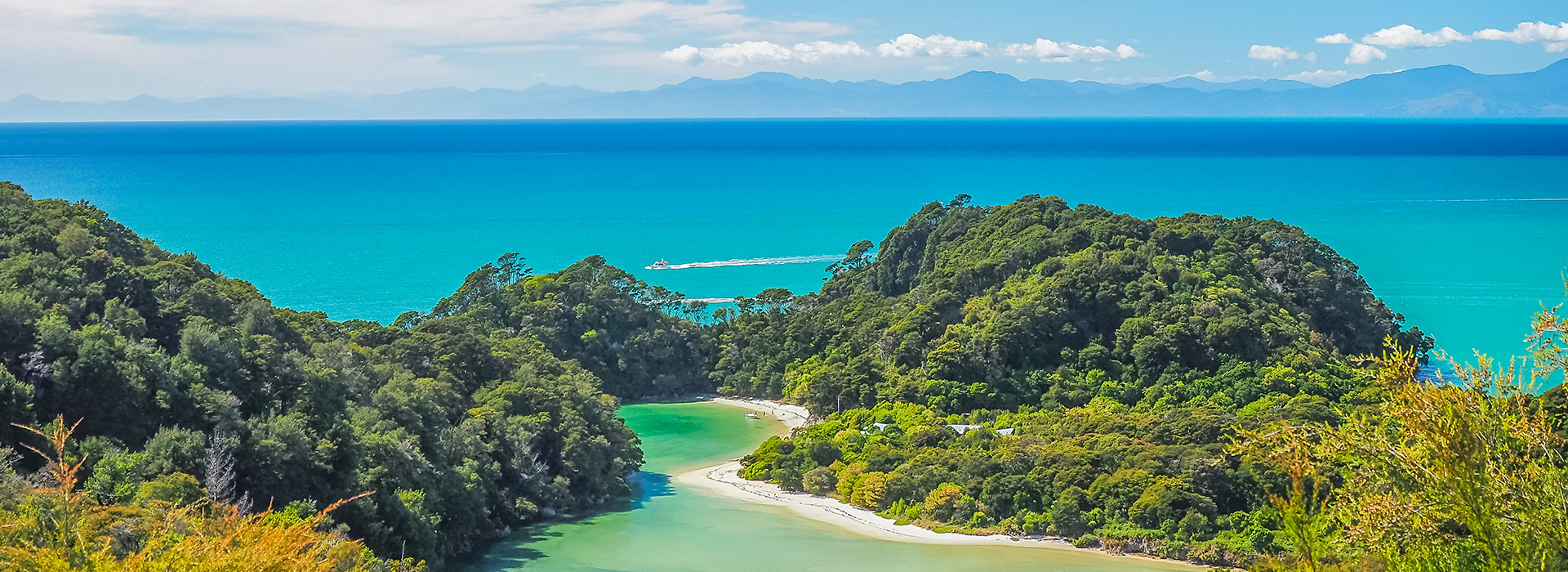 saankhya soundar new zealnd saankhya soundar new zealnd