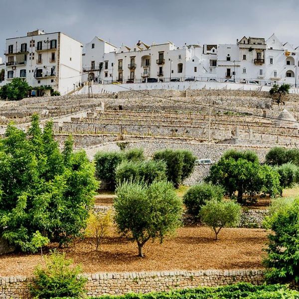 Locorotondo, Puglia, Italy | Croatia Times Travel
