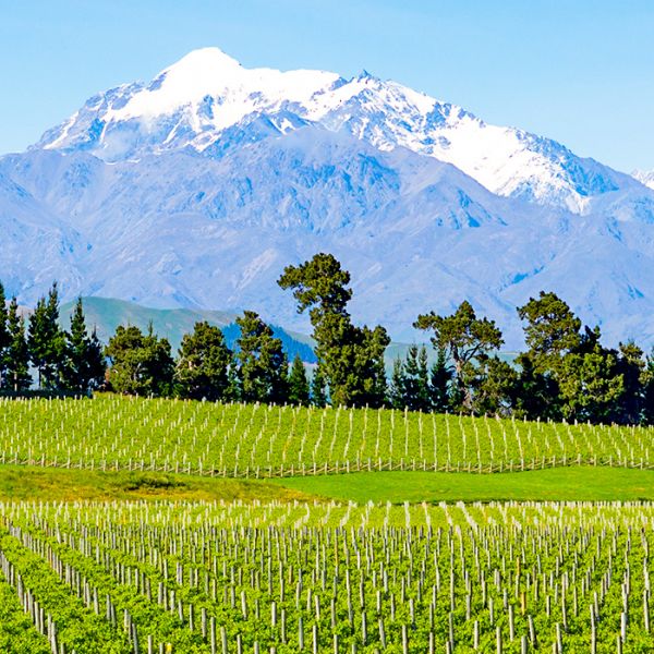 Blenheim, South Island, New Zealand | Croatia Times Travel