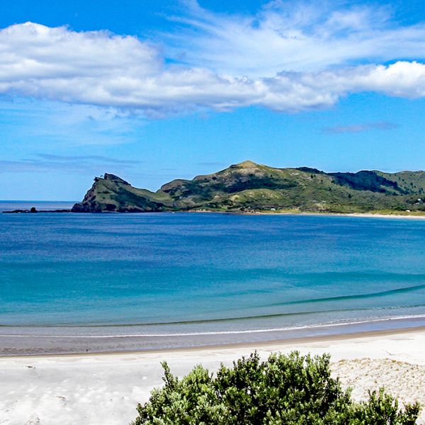 Great Barrier Island, North Island, New Zealand | Croatia Times Travel