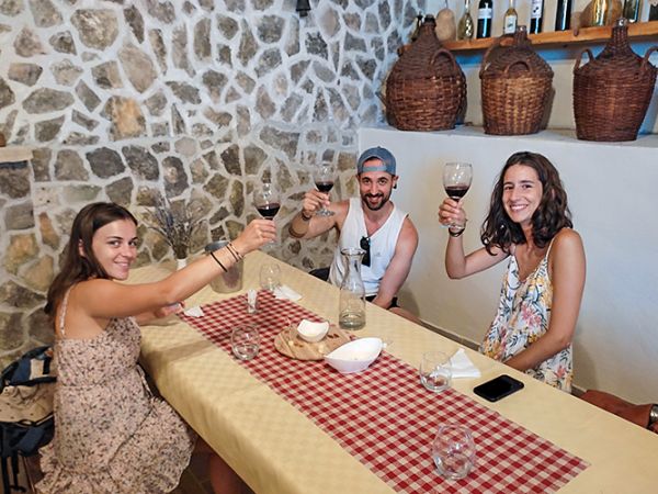 Krka Waterfalls NP & Wine Tasting