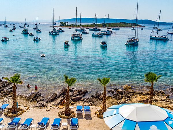 Half Day Shipwreck & Blue Lagoon Private Beach Tour